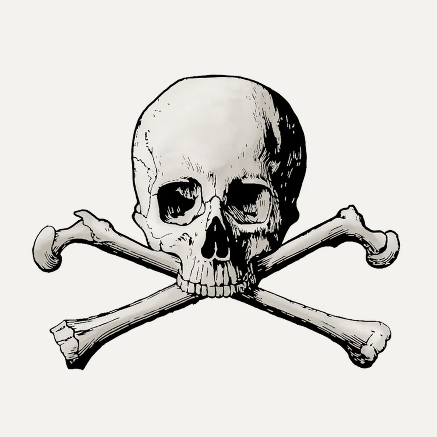 Skull and Cross Bones